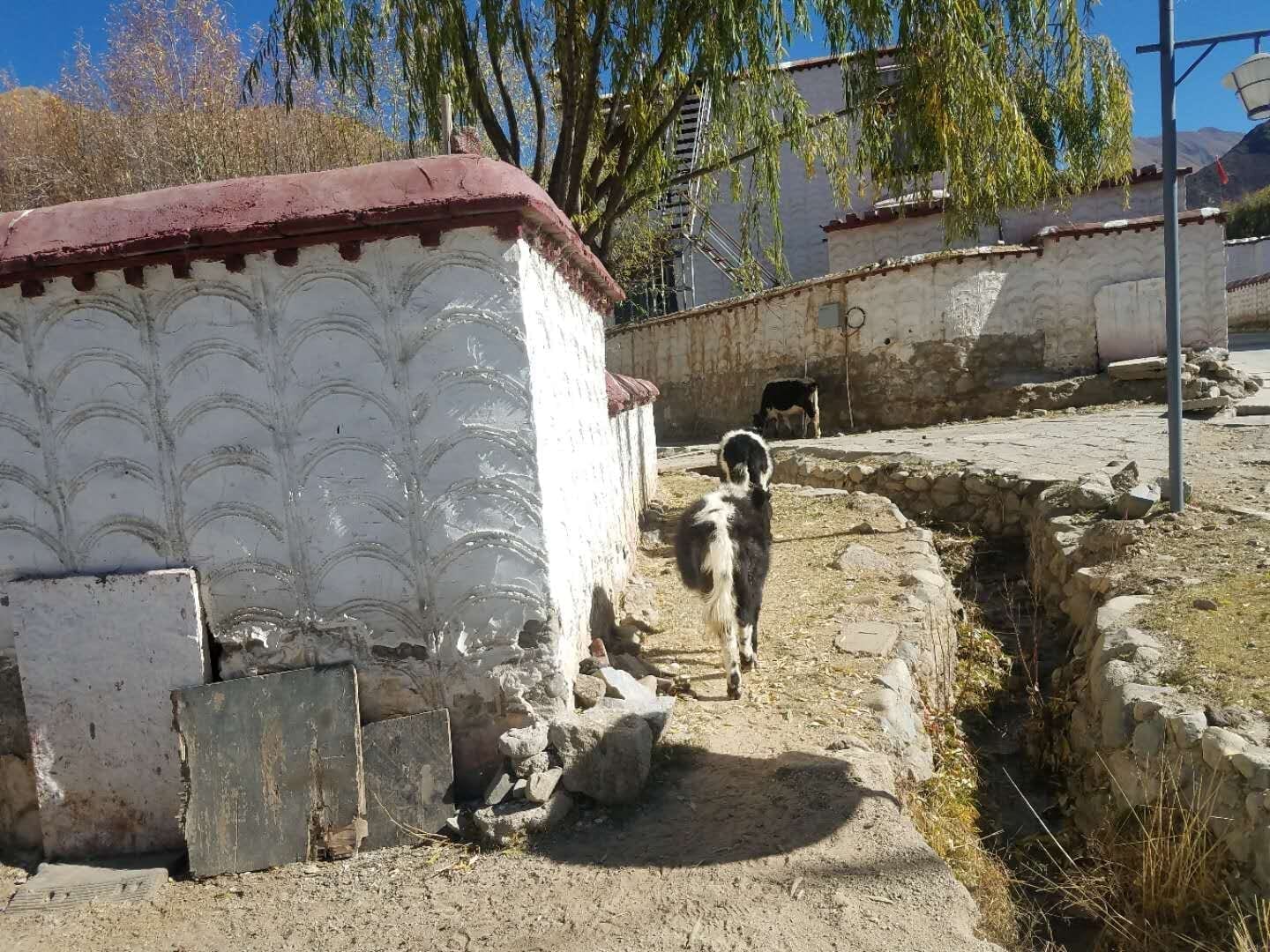 Tibetan Charity Tour-Tibetan Home Visit 7