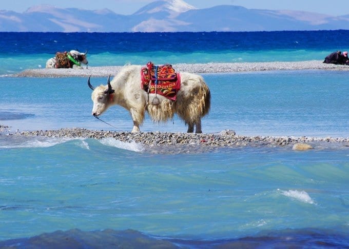 1 Day Namtso Lake Day Tour Featured