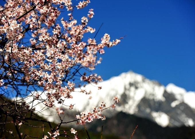 3 Days Tibet Nyingchi Photo Tour Featured