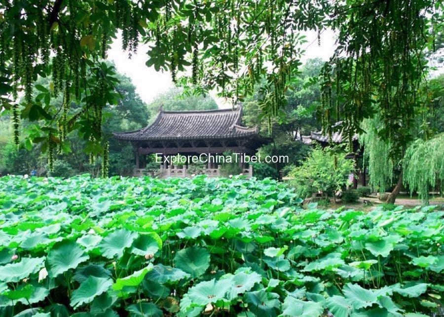 Shenyuan Garden 1