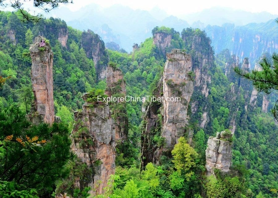 Tianzi Mountain 1