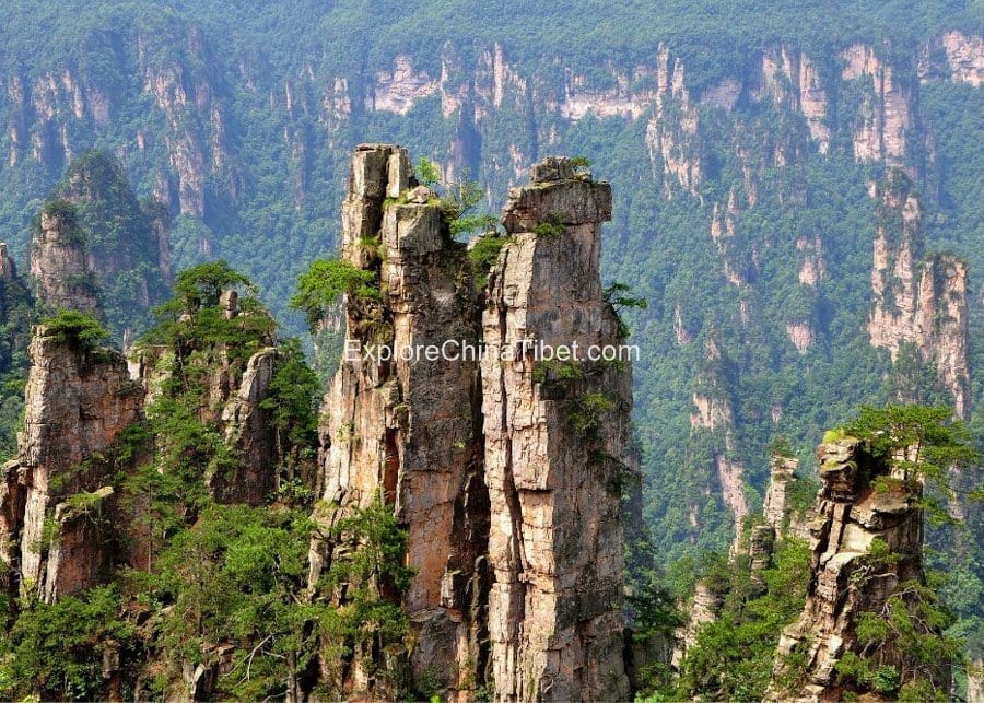 Tianzi Mountain 6